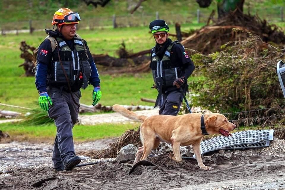 Rescatistas de Protección Civil del Estado trabajan en una zona cercana a Camp Mystic.