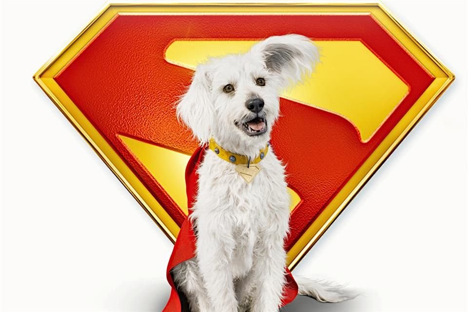 El director James Gunn creó al Krypto de 'Superman' inspirado en su propio perrito rescatado, a quien llamó Ozu, y es bastante destructivo.