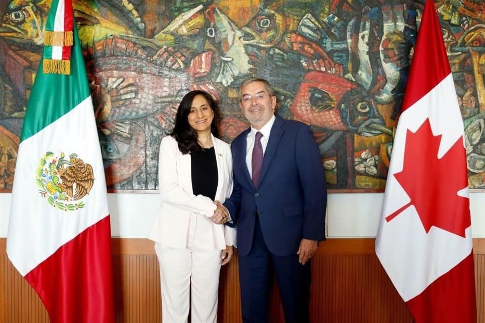 Anand y De la Fuente se reunieron en la Cancillería.