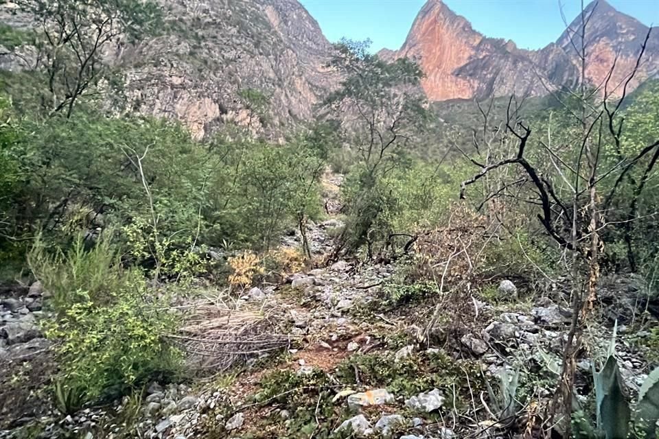 Agua y Serenaje progetta di costruire una nuova diga a Rompepicos, per la quale sono già state effettuate delle esplorazioni, che interesserà l'area verde.