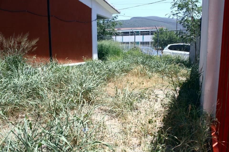 Algumas escolas estão sem energia elétrica devido a fiação danificada e danos em salas de aula e paredes, colocando alunos e professores em risco.