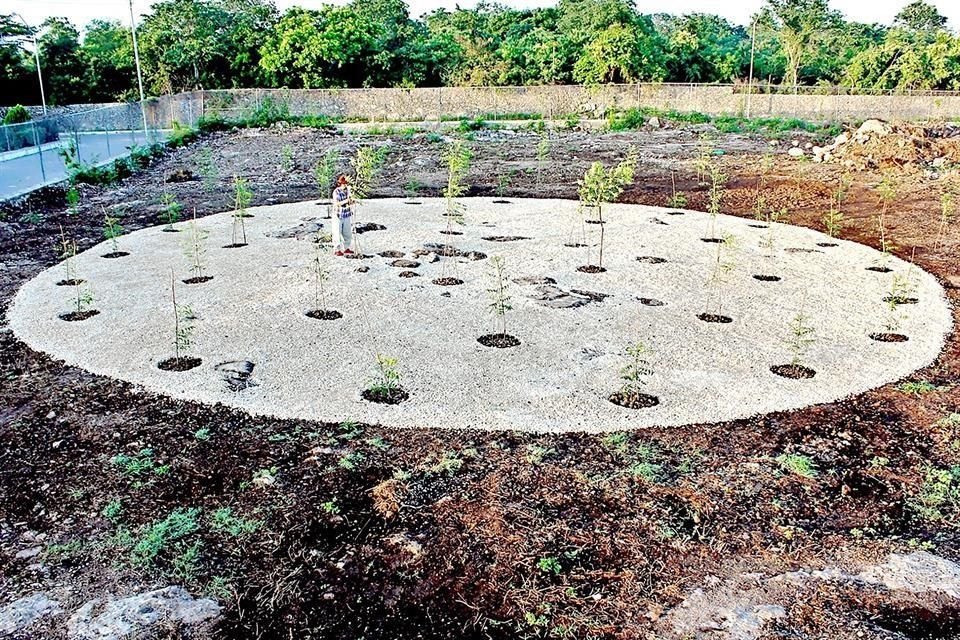 Imagem da obra 'Campo Magnético' que será exibida na exposição.