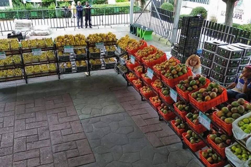El programa tiene como objetivo eliminar intermediarios, lo que se traduce en ahorros de 10 hasta 50 por ciento.