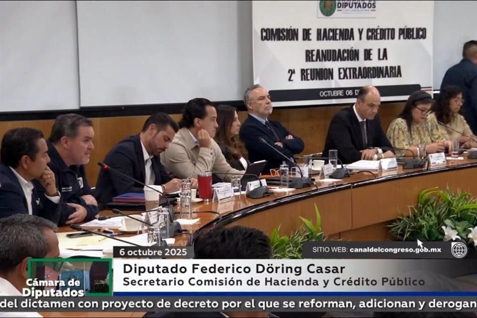 Durante la discusión, el panista Federico Döring cuestionó que sólo se pondrán temporalidad a las patentes de agentes aduanales.