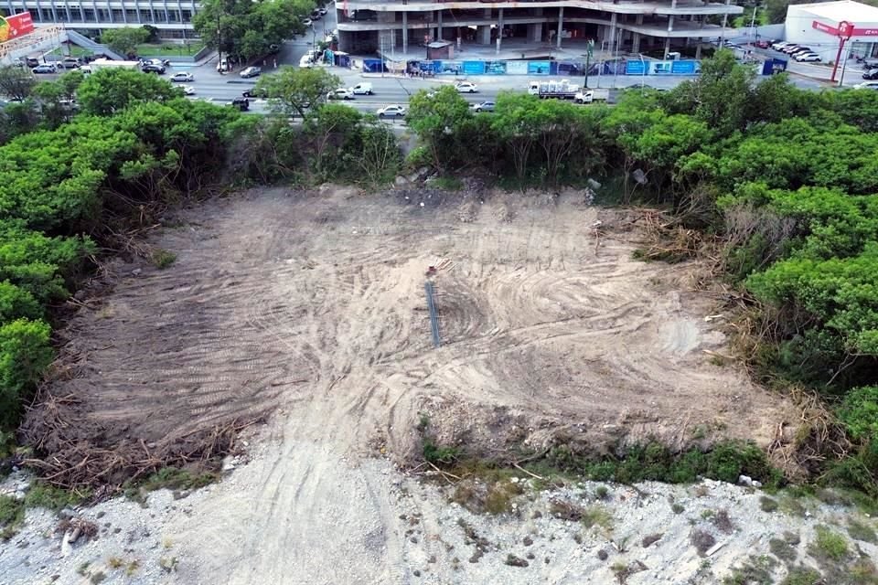 A la altura de Morones y Loma Larga, se realizó un segundo desmonte en el lecho del Río Santa Catarina.