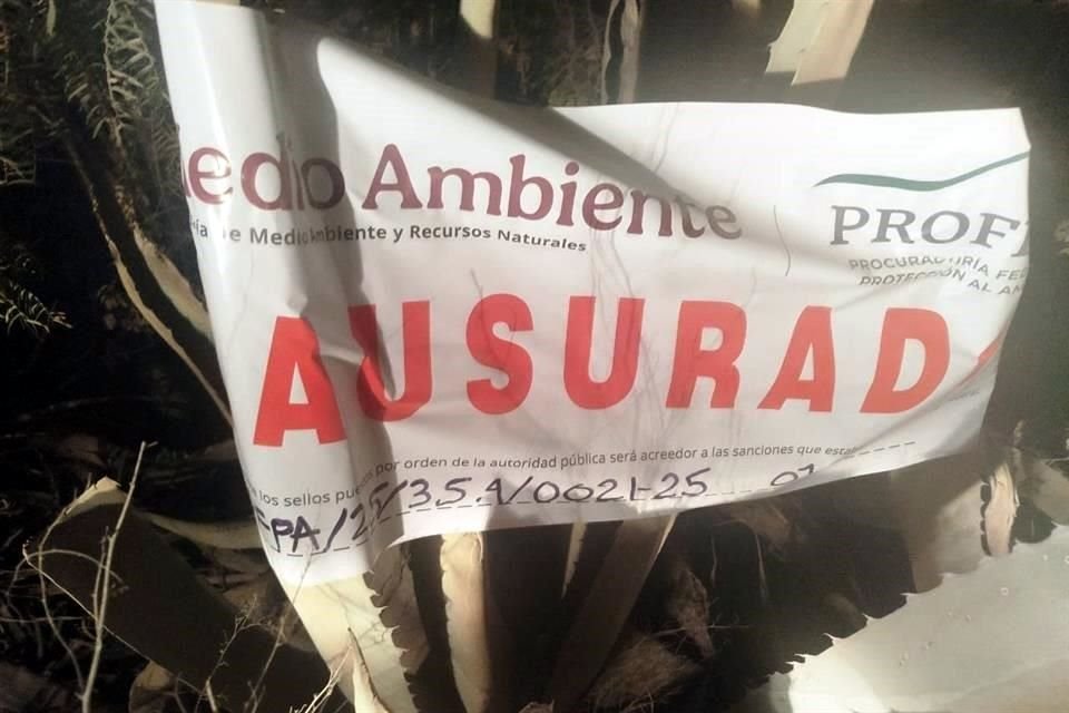 El colectivo urgió a frenar los desmontes en la zona de El Caracol.