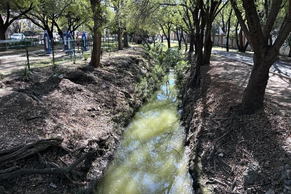 Vecinos denunciaron que el color verde de las aguas es más fuerte.