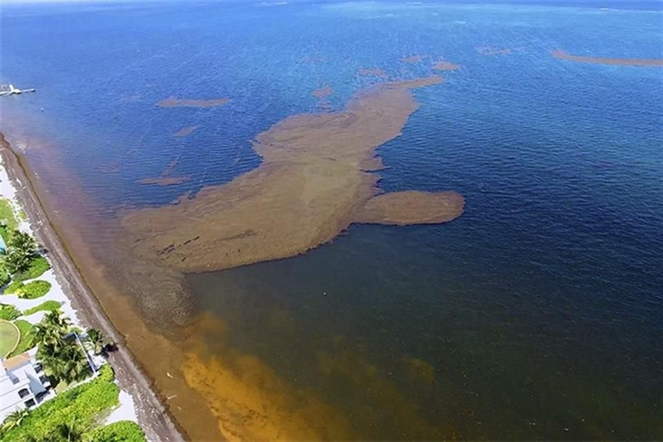 El documental está disponible en Cine en Línea de la Filmoteca UNAM para verse en toda la República Mexicana y desde cualquier país.