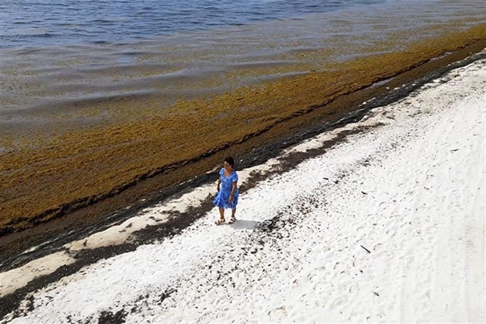 Fue también coproducido por los Institutos de Geografía, Ciencias del Mar y Limnología y Ciencias de la Atmósfera y Cambio Climático.