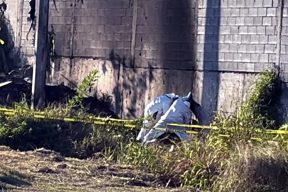 La víctima, de la que no se especificó sexo, estaba atada de pies y manos.