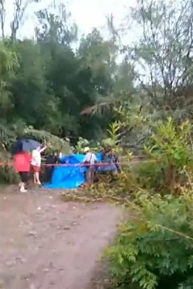 En Cadereyta, una mujer murió al caerle un árbol, en la comunidad Atongo.