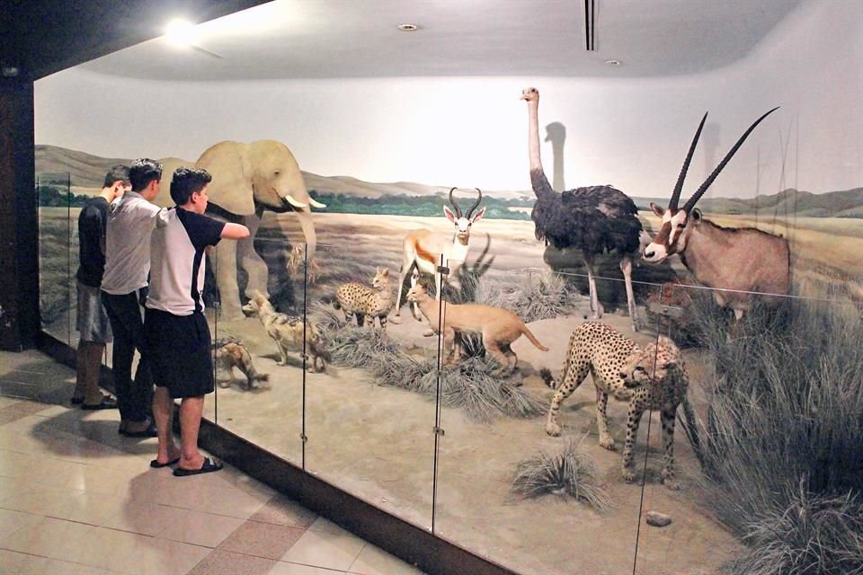 Actualmente el museo se encuentra en el interior del Parque Niños Héroes, donde tiene más de 20 años.