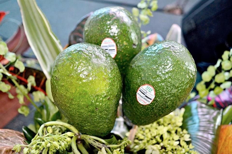 El paro de aguacateros se prolongó durante 16 días.