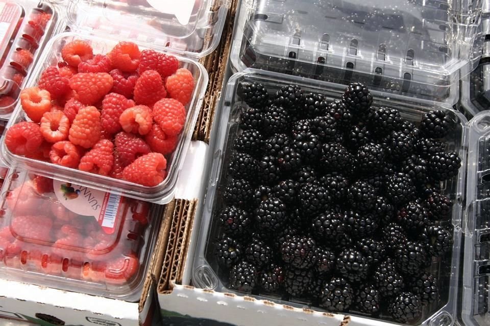El 11 de febrero se votará si hay daño o no a la industria de berries norteamericana.