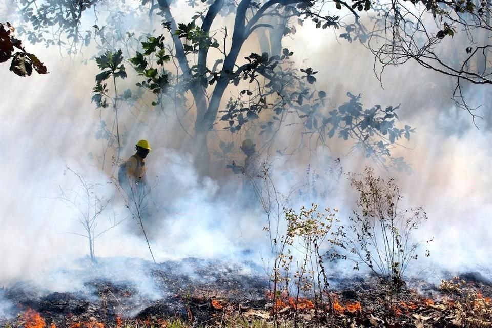 El mayor impacto por incendios forestales lo resiente Michoacán, donde se reportan 14 siniestros de los cuales tres están en proceso de liquidación.