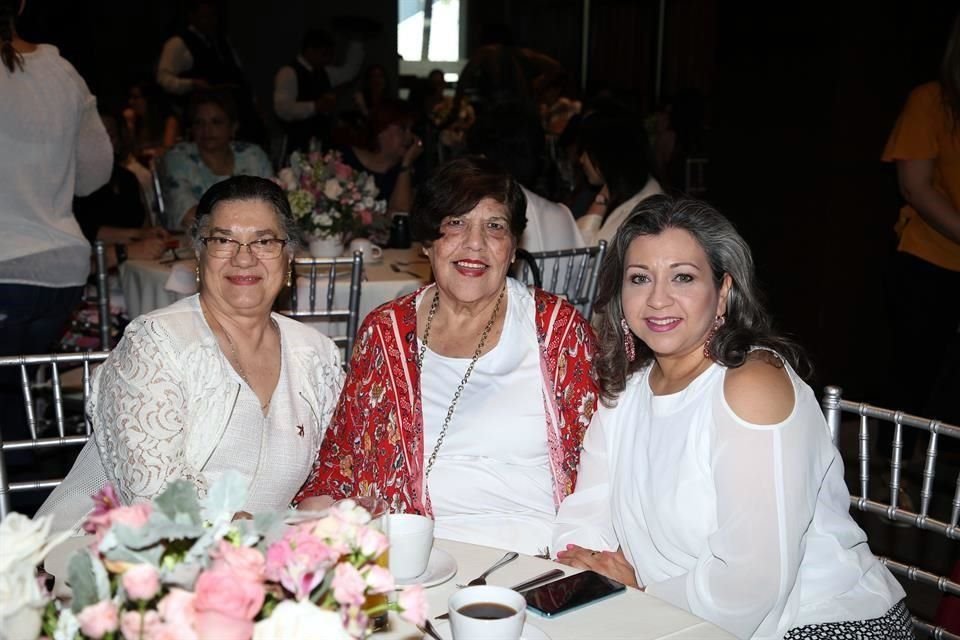 Silvia Perales de García, María Elena Arreola de Nuñez y Erika Rincón de Hernández