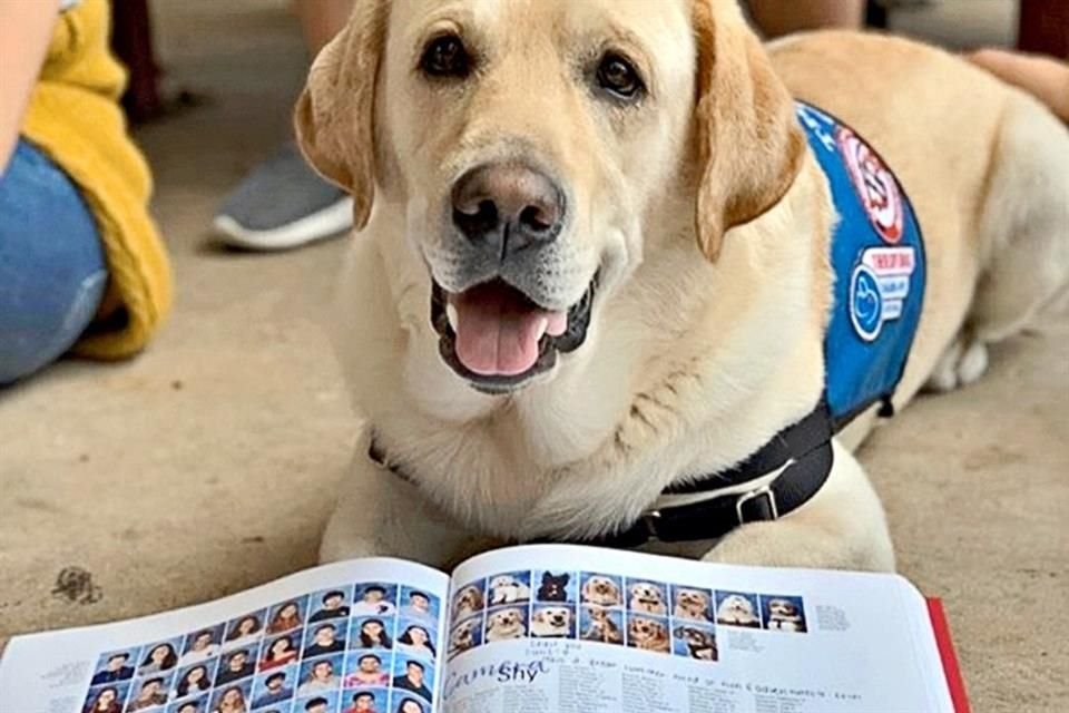 'Cheif', uno de los perros 'terapeutas' honrados en el anuario de la preparatoria, posa con la publicación