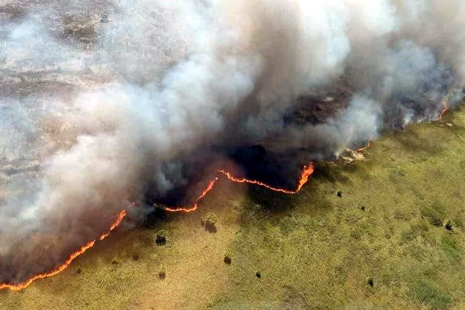 El incendio forestal, que inició el pasado 8 de julio, reporta actualmente una afectación de 2 mil 500 hectáreas, un 20 por ciento de liquidación y un 55 por ciento de control.