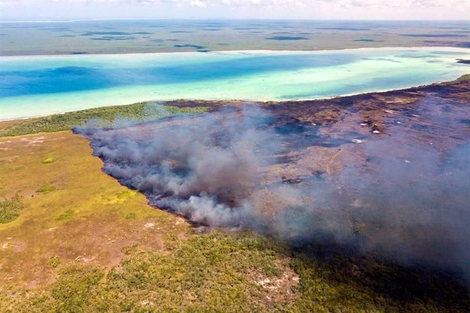 El incendio en la Reserva de Sian Ka'an, en Quintana Roo, creció a 2 mil 500 hectáreas afectadas y está liquidado en solo un 5 por ciento, según Conafor.