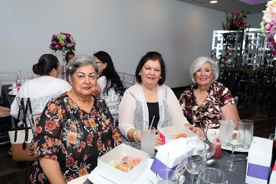 Delia Elizabeth Villarreal, Alama Rosa Lozano y Martha Lozano Cantú