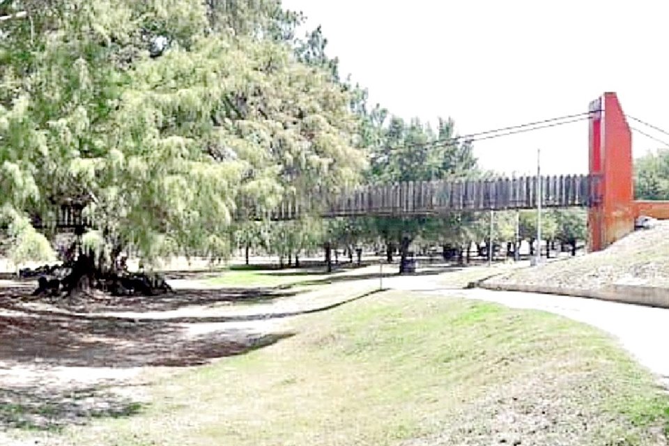 Funcionarios estatales hicieron una revisión a los árboles del Recreativo Benavides y El Sabinal.
