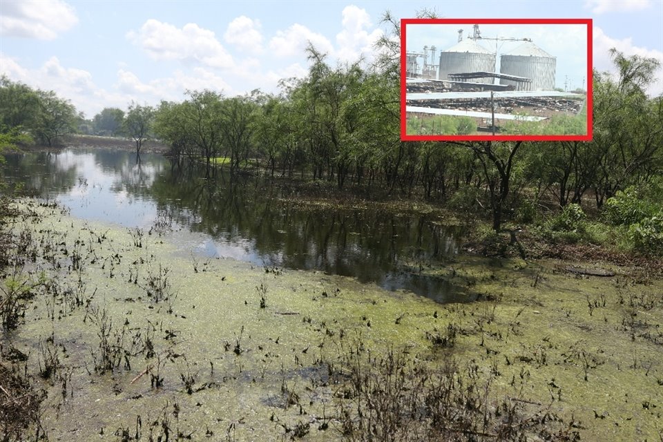 Los vecinos denunciaron que la laguna pestilente que se formó después de las lluvias de 'Fernand' es la evidencia de la contaminación de la empresa Denes (recuadro) hacia el Río San Fernando.