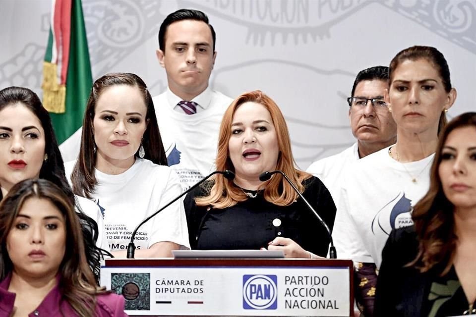  Encabezada por la Diputada Annia Gómez, la fracción del PAN en el Congreso federal presentó la iniciativa. 