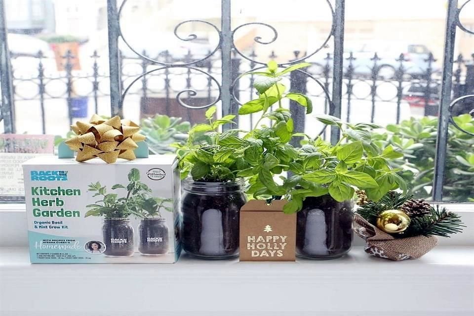 Kitchen herb garden by Ayesha Curry