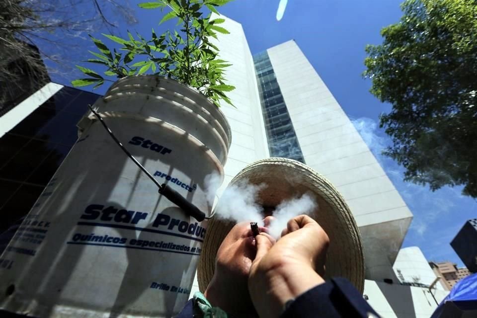 La regulación de la cannabis sería abordada en este periodo de sesiones.