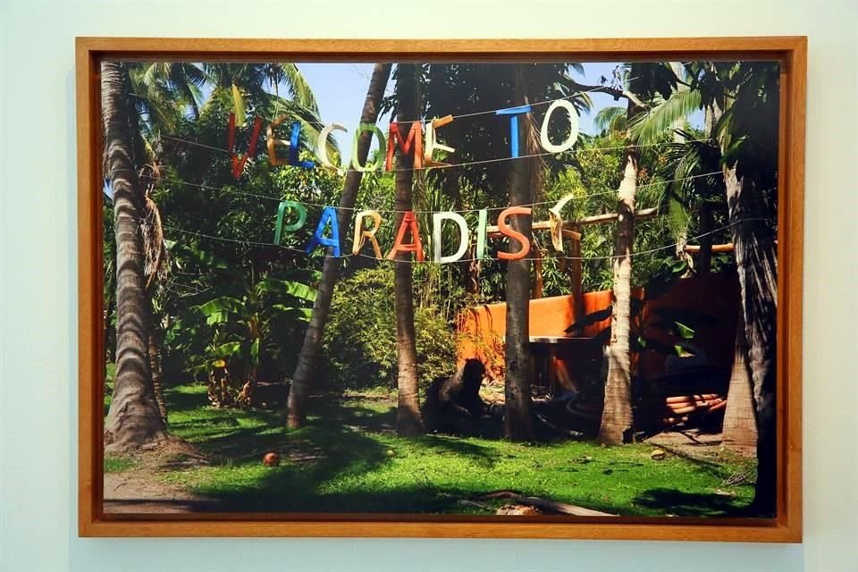 WELCOME TO PARADISE / Oswaldo Ruiz