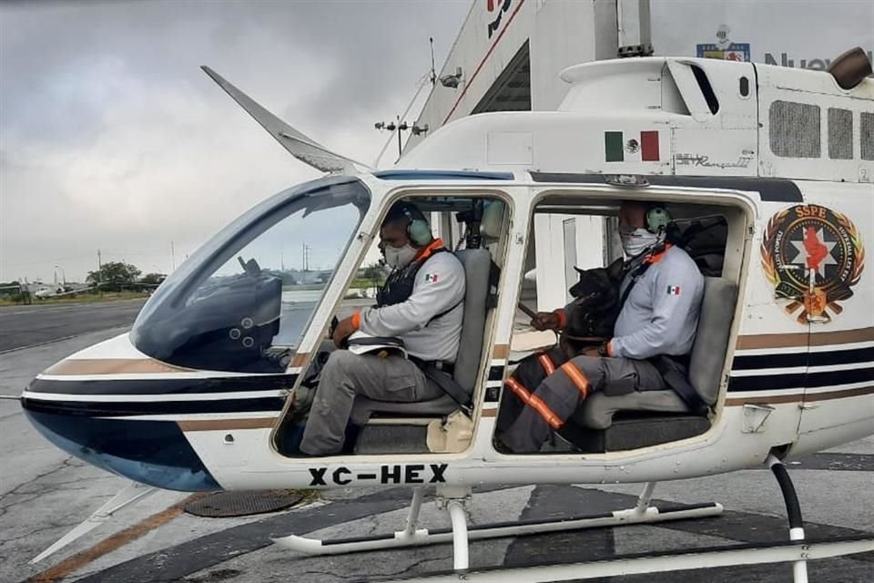 Rescatistas de Protección Civil Municipal, Estatal, junto con binomios caninos y voluntarios de la comunidad realizan un rastreo en la zona apoyados con un helicóptero de Fuerza Civil.
