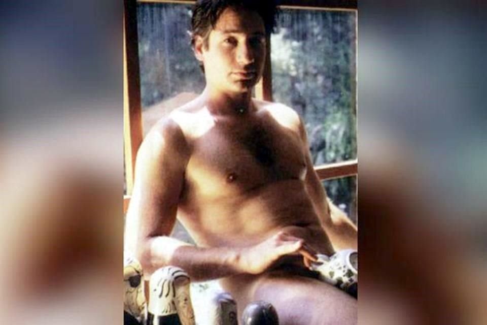 David Duchovny participó en 1992 en la serie 'Red Shoe Diaries' como presentador y protagonista. En una entrevista David mencionó que era un trabajo para pagar el alquiler y comer.