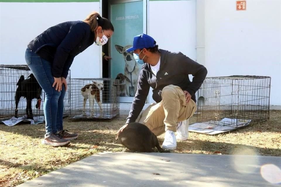 El activista Arturo Islas exhibió las malas condiciones en las que permanecían los animales en la perrera municipal de García.