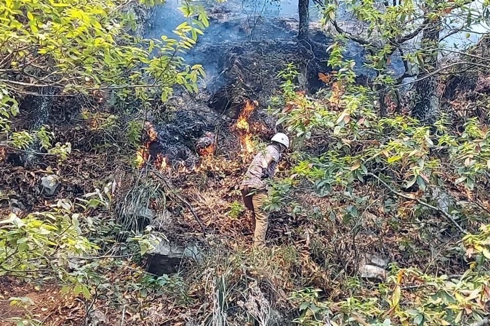 Continúan trabajos de combate conta el incendio forestal en la Sierra de Rayones.