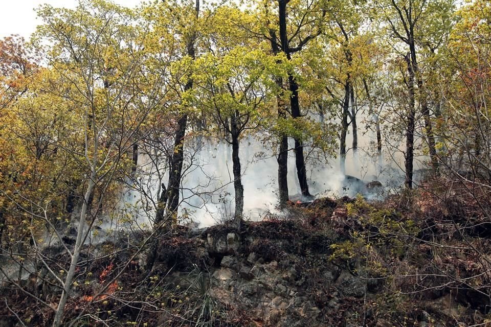 Continúan trabajos de combate conta el incendio forestal en la Sierra de Rayones.