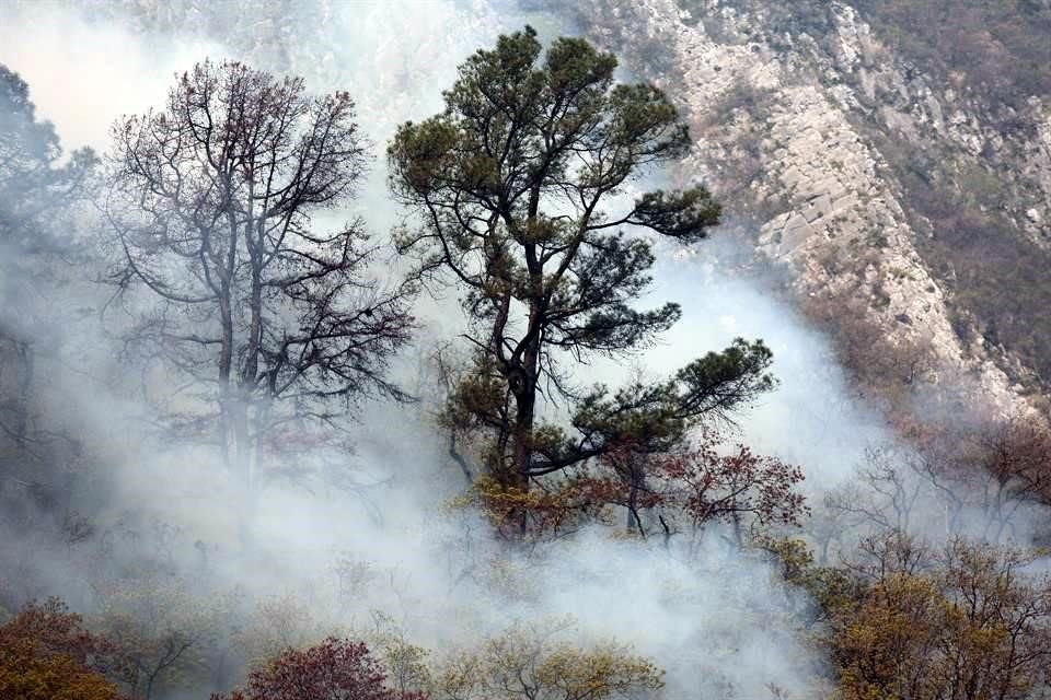 Continúan trabajos de combate conta el incendio forestal en la Sierra de Rayones.