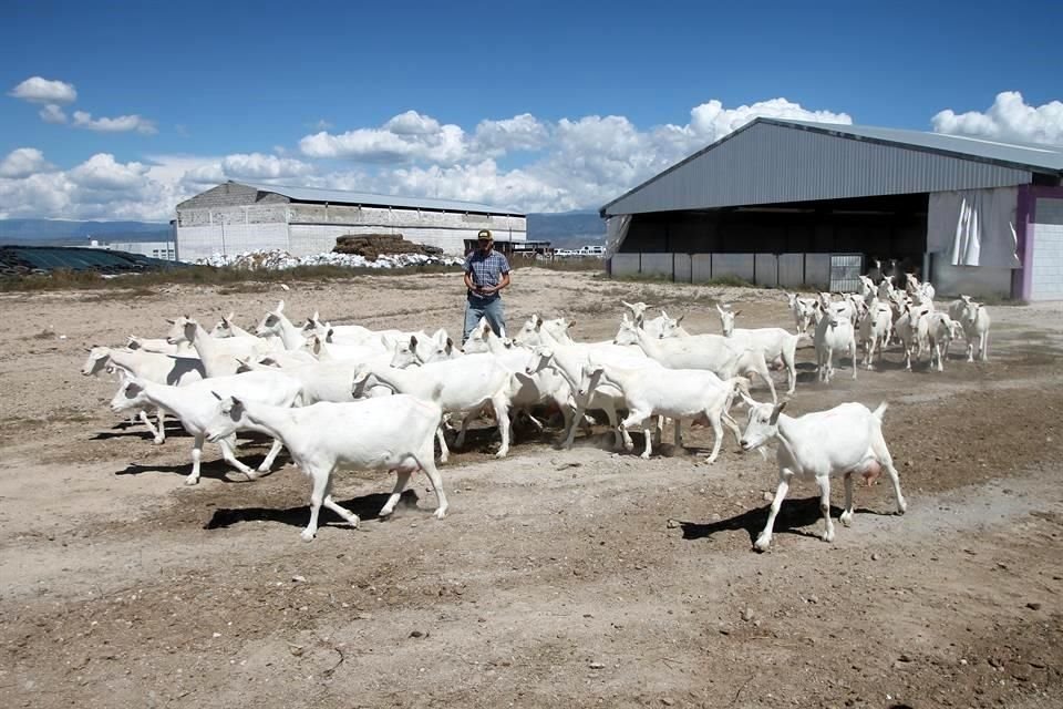 El mandatario estatal donó 370 cabras de alta genética y efectuó un recorrido por las instalaciones donde observó parte de las actividades que se realizan en el parque.
