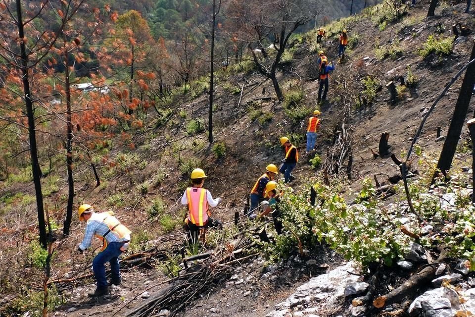 Desde el 2012 y con más de 200 socios, Amigos de la Sierra ha combatido 86 incendios y capacitado a casi un centenar de brigadistas.