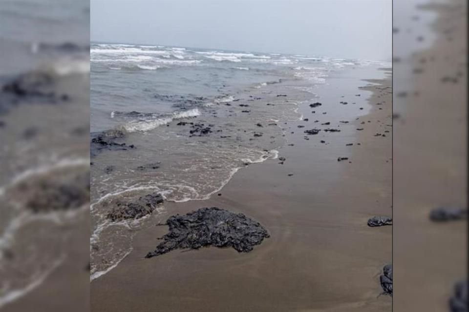 Ambientalistas reportaron manchas de chapopote en las costas de Tecolutra, Veracruz, justo durante temporada del desove de la tortuga lora.