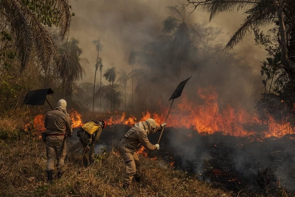 La serie Pantanal en llamas ganó el primer premio Historias Ambientales; la imagen muestra a bomberos combatiendo un incendio en finca Sao Francisco de Perigara. (Lalo de Almeida, Folha de Sao Paulo)