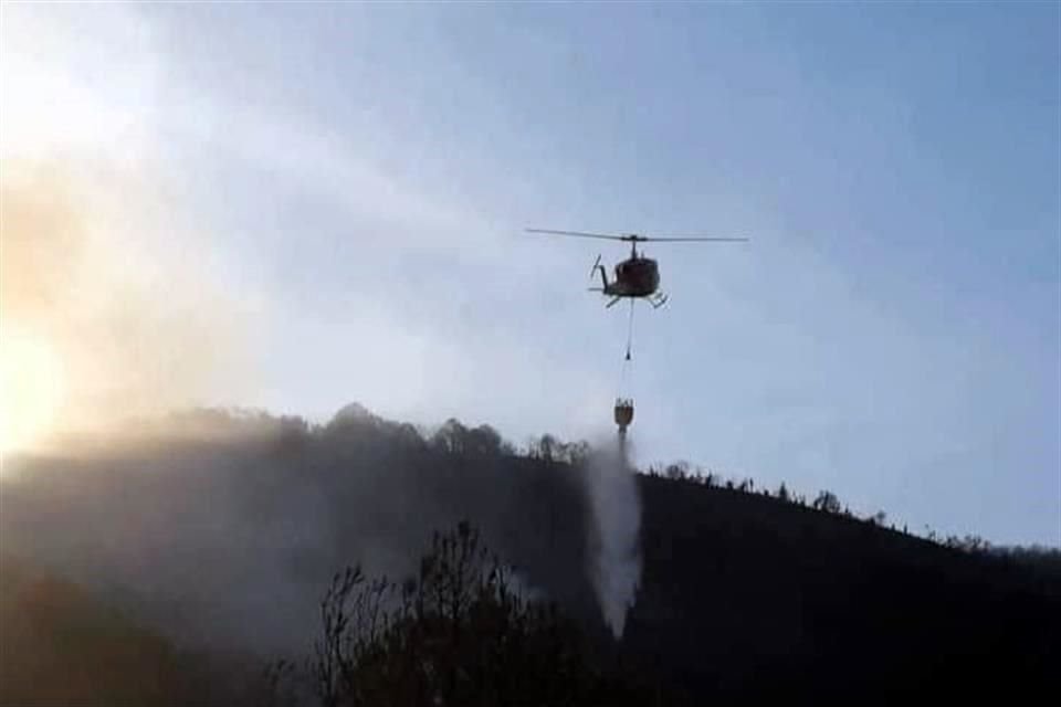 Los fuertes vientos de los últimos días han impedido que las dos brigadas del Estado y las dos de Conafor extingan las llamas, que han afectado la zona boscosa de pinos en Miquihuana y Bustamante.