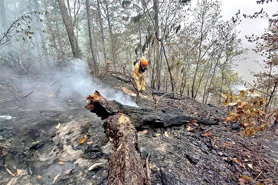 Uno de los incendios más graves en lo que va del año es el de la Sierra de Santiago.