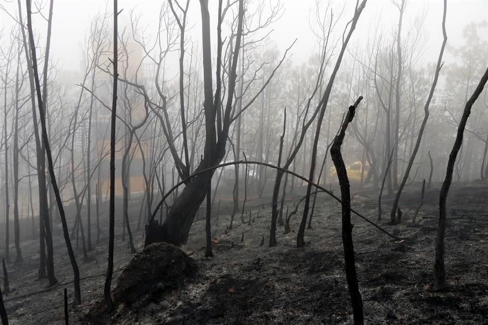 El Bosque Escuela de la UANL registró su primer incendio forestal en su historia y según reportes oficiales, sumaba entre 200 y 300 hectáreas de afectación consumidas por el fuego.