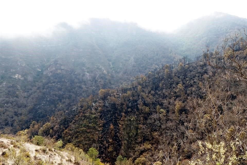 Desde el año 1983, cuando fue adquirido, este punto de la sierra de Iturbide no se había incendiado.