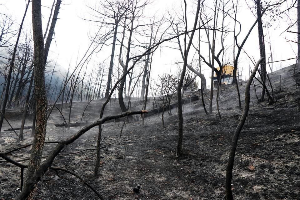 El fuego afectó entre 200 y 300 hectáreas del predio de la UANL.