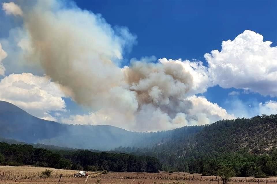  El incendio forestal inició en el cañón de Las Barras, en el municipio de Galeana.