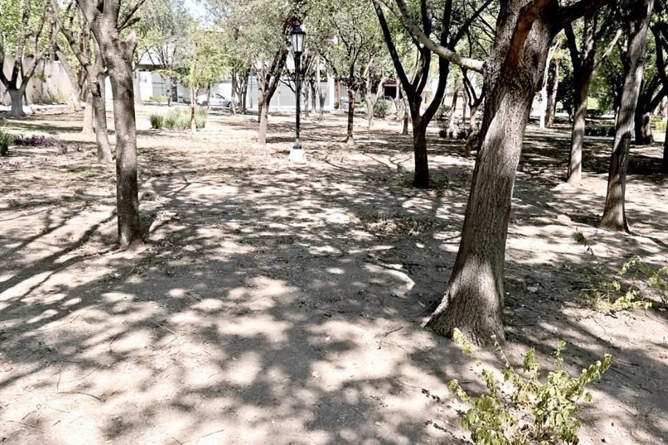 En el Parque Medalla Milagrosa, de Jerónimo Siller no hay césped solo tierra.