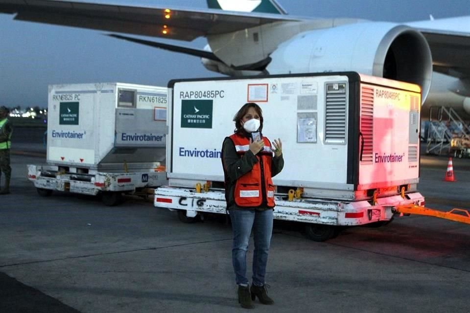 La subsecretaria para Asuntos Multilaterales y Derechos Humanos recibió el cargamento.