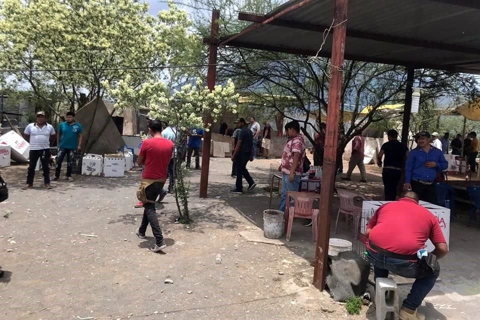 Una denuncia anónima alertó a la Policía de Escobedo sobre el palenque clandestino de la Colonia Jardines de San Miguel.