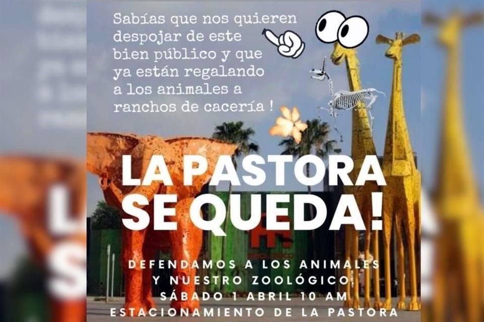 Ante rumores del posible cierre del zoológico La Pastora y quejas por reubicación de animales, activistas convocan una protesta este sábado.